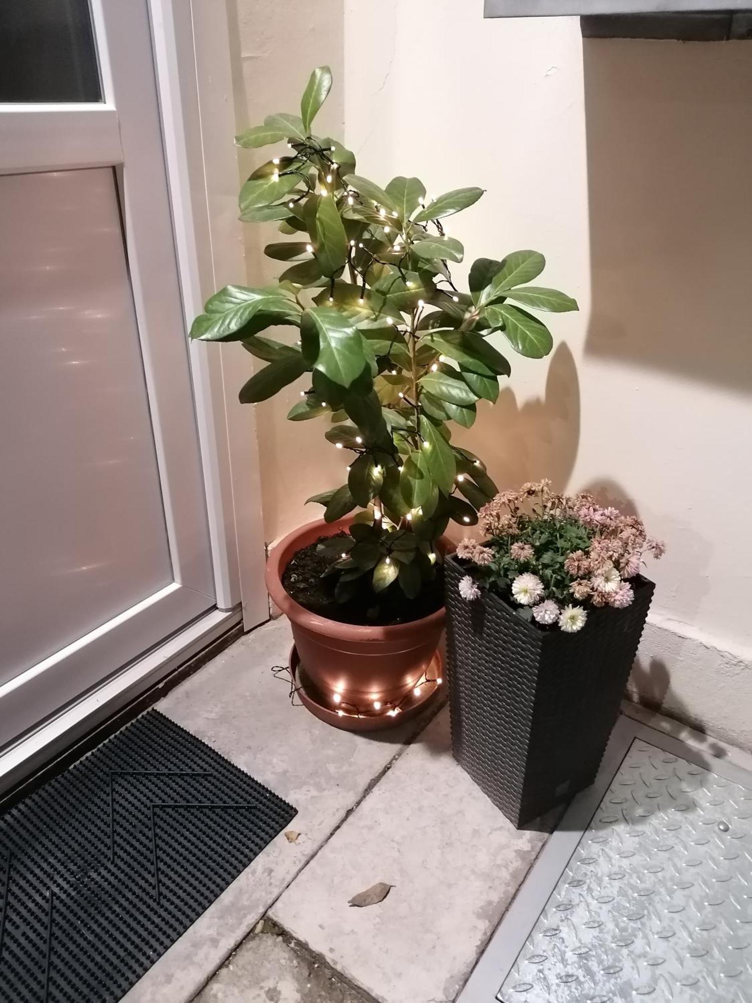 Mohacs Korona Apartman Bagian luar foto